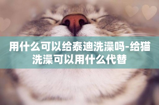 用什么可以给泰迪洗澡吗-给猫洗澡可以用什么代替